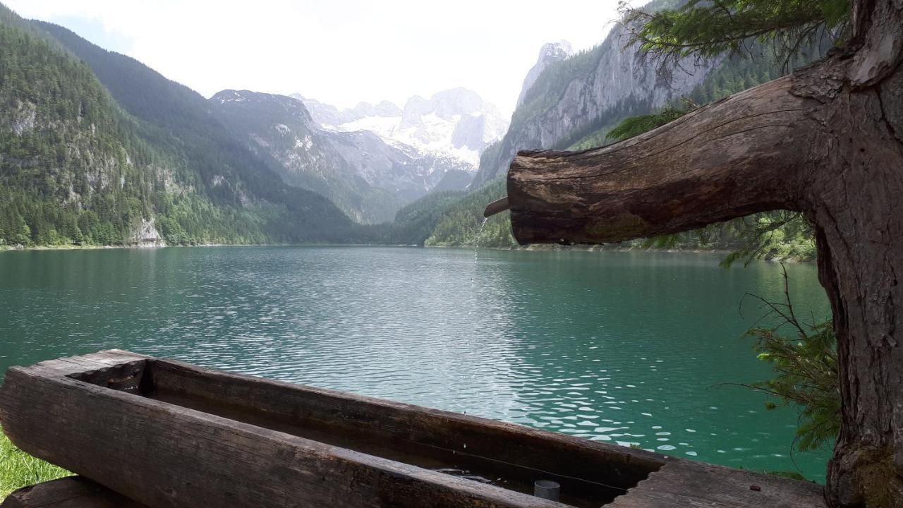 Transylvania Villa & Spa Gosau Εξωτερικό φωτογραφία