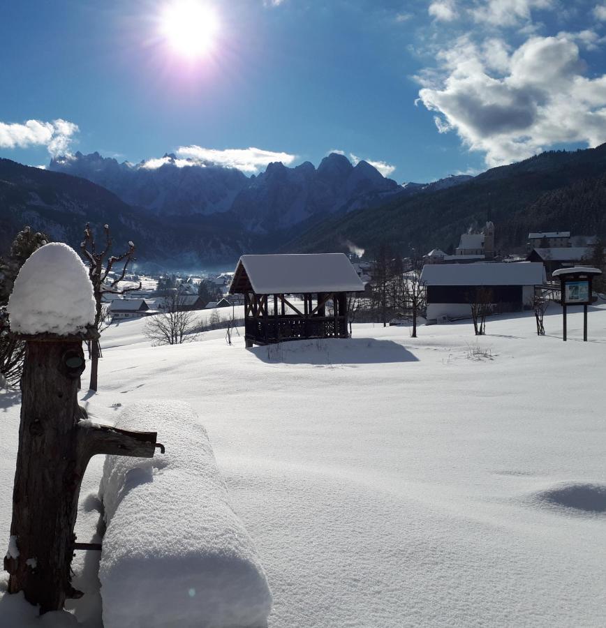 Transylvania Villa & Spa Gosau Εξωτερικό φωτογραφία