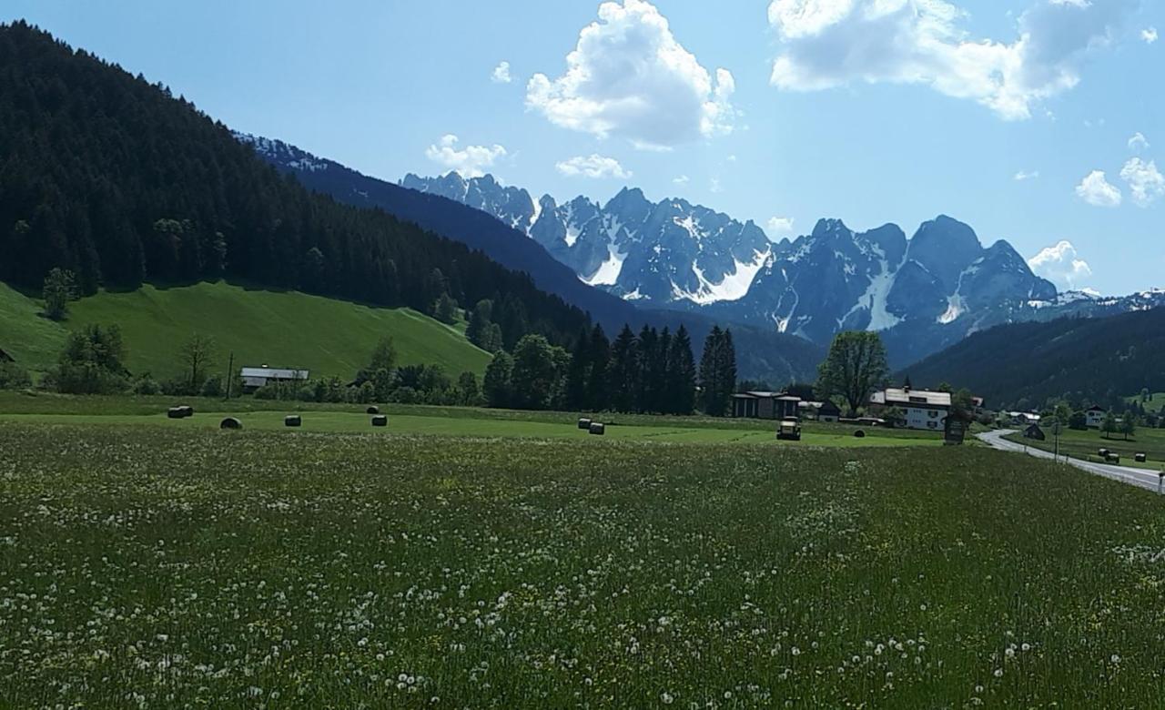 Transylvania Villa & Spa Gosau Εξωτερικό φωτογραφία
